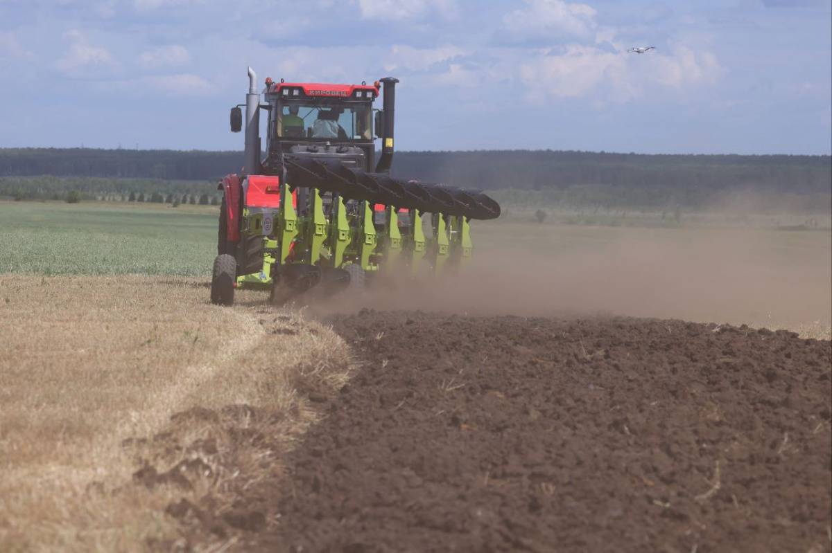 50 лет в агросфере: фермер из Челябинской области получил награду от президента*