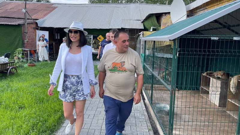 В Челябинске поздравили спасенного льва Симбу с днем рождения