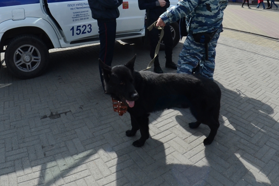 Массовая эвакуация прошла сразу в двух колледжах Челябинска