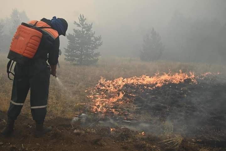 Лесные пожары на юге Челябинской области продолжаются на площади 20 гектаров*1