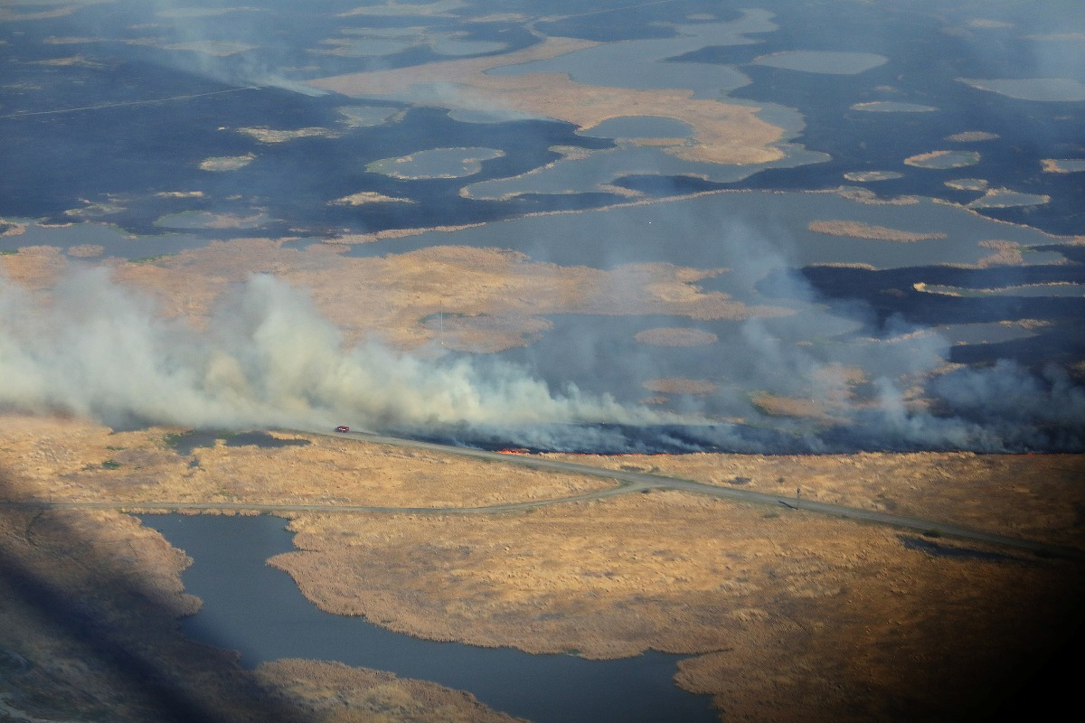 Первые лесные пожары на 17 гектаров ликвидировали в Челябинской области*1