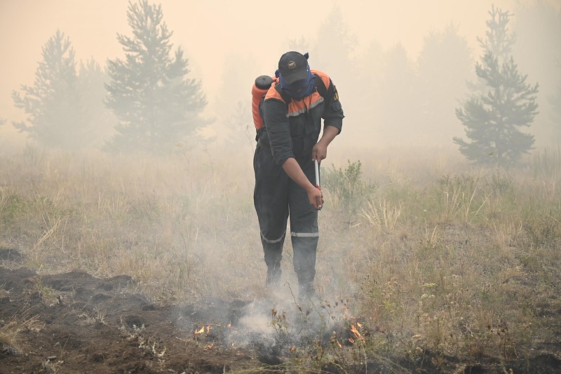 В Челябинской области произошли первые лесные пожары*1