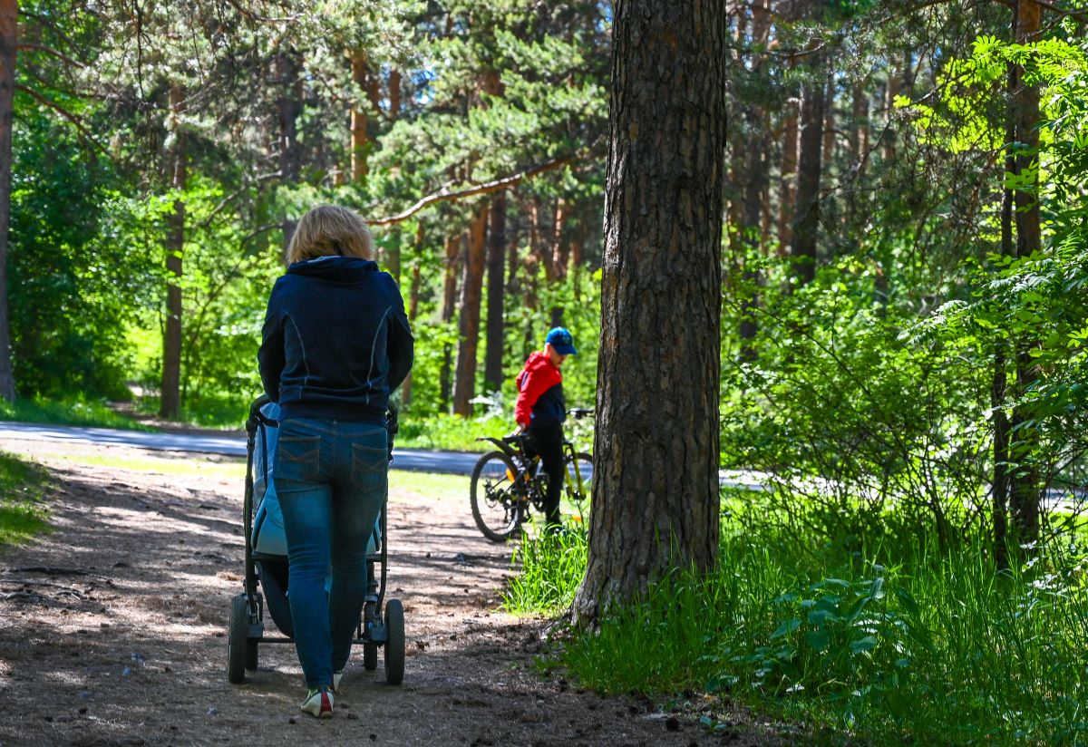 Площадь Каштакского бора в Челябинске увеличится на 209 гектаров*1