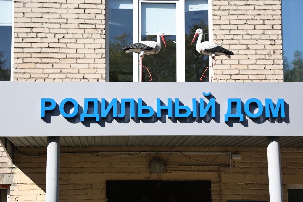 Врач из Челябинской области призвала проверять здоровье до беременности*