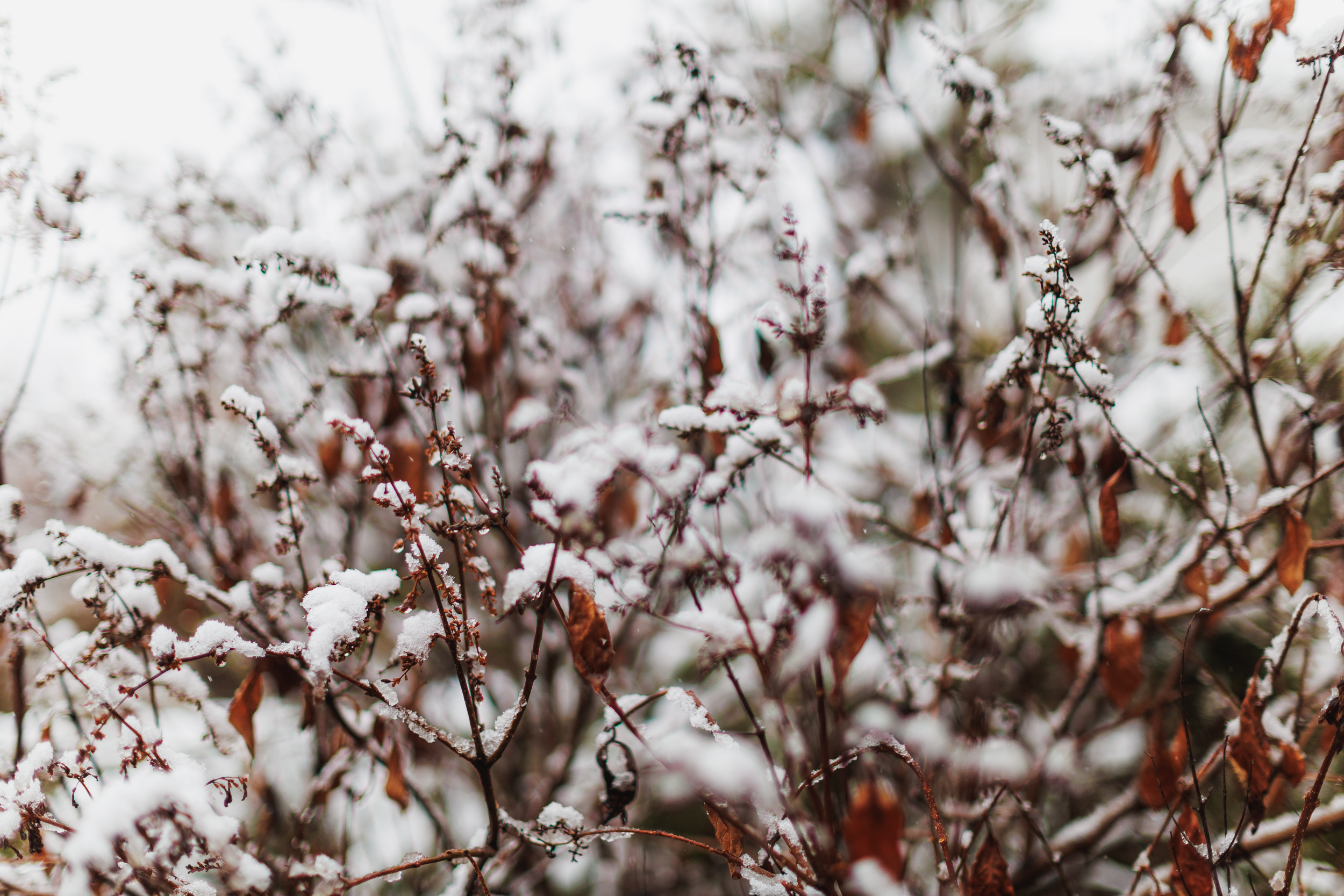 Утром 2 ноября Челябинск накрыло первым снегопадом