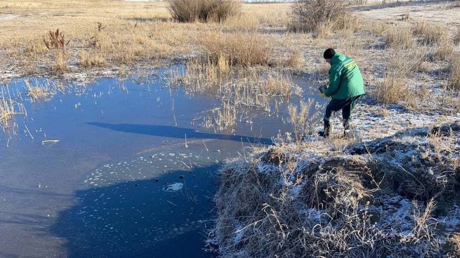 Резонансное дело о загрязнении воды в Троицке передали в Росприроднадзор