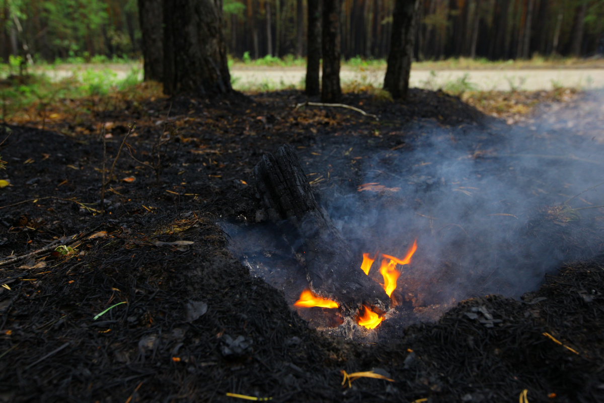 Первые лесные пожары зарегистрировали в Челябинской области*1