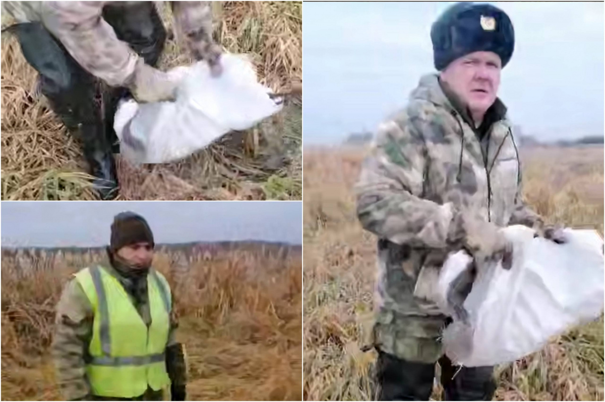 Жители Еткуля сняли на видео спасение журавля с поврежденным крылом*