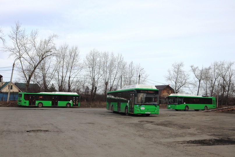 Управление транспорта новороссийск телефон