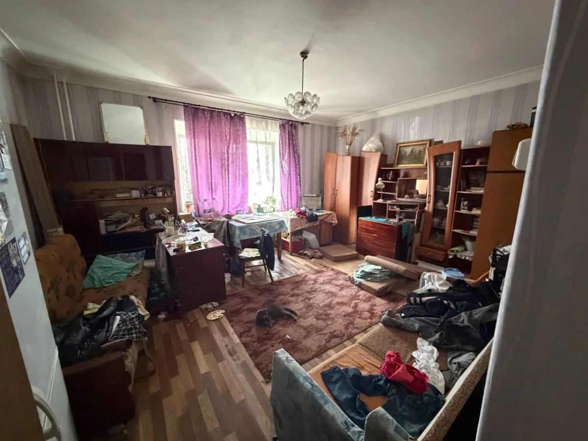 Кот-британец стал свидетелем полицейской облавы на притон в Челябинске*