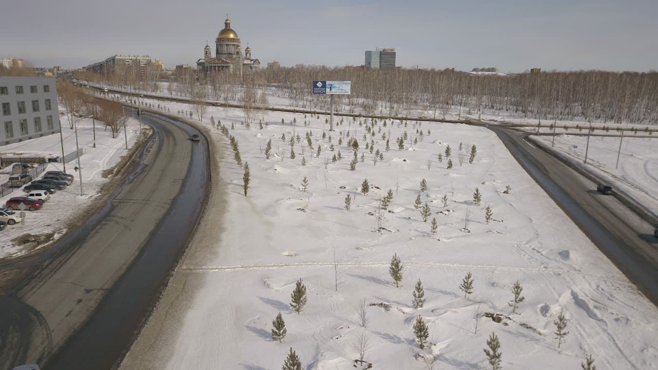 На северо-западе Челябинска высадили аллею из крупномеров