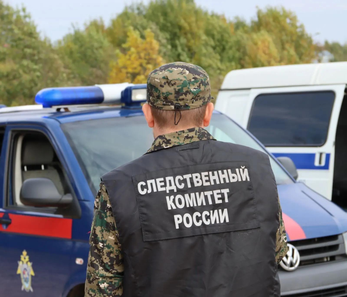 Поезд насмерть сбил женщину на юге Челябинской области*