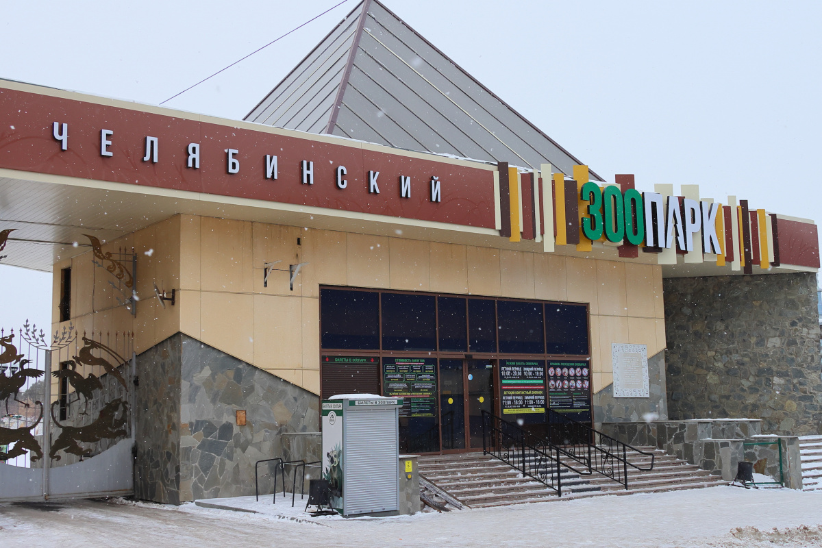 Пруд с японским карпами открыли после зимы в Челябинском зоопарке*1
