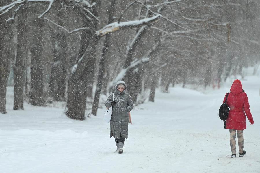 Метели и плюсовые температуры останутся в Челябинской области