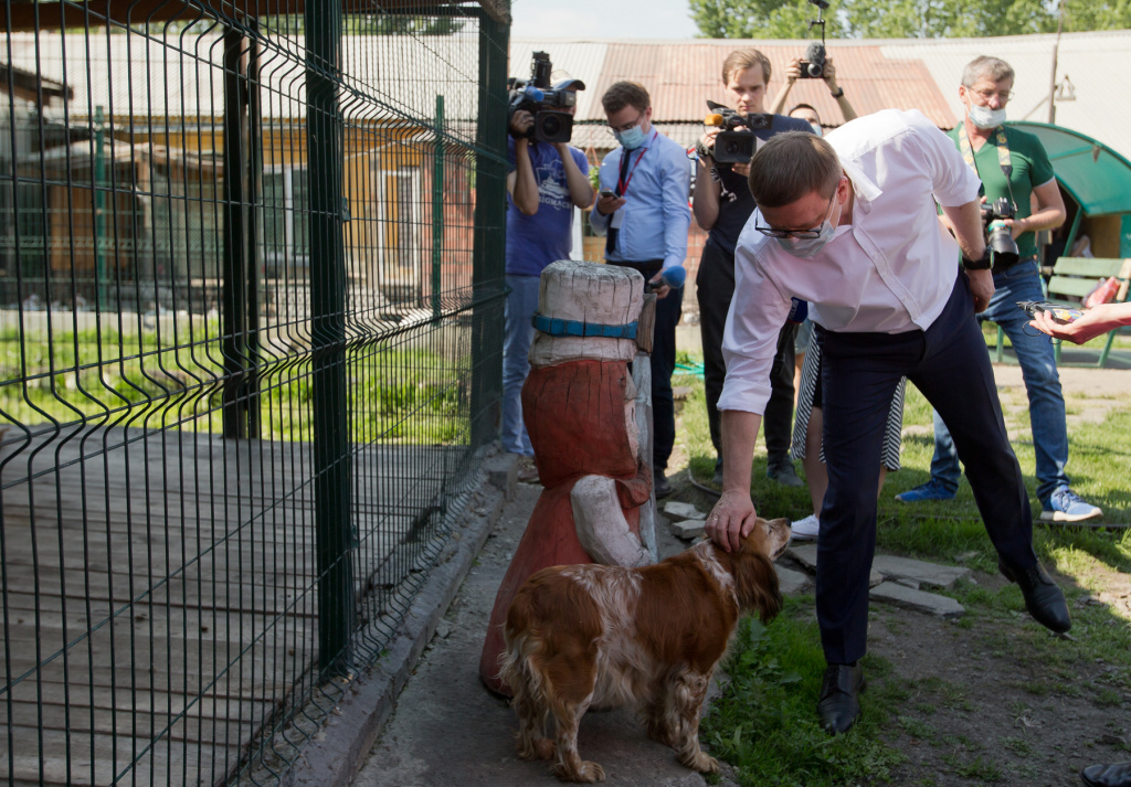 Первый государственный приют для животных откроют в Челябинской области 1 апреля