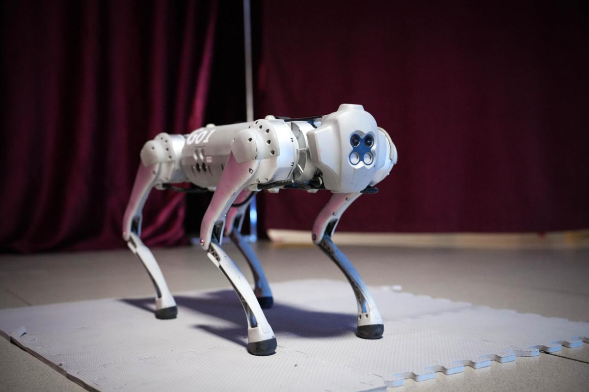 Робопса отправили работать на железнодорожную станцию Челябинска*1