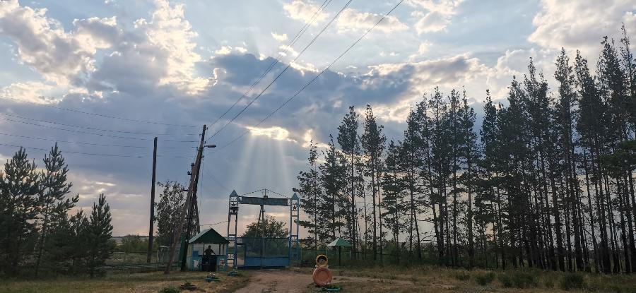 В летнем лагере Челябинской области ребенок заболел коронавирусом