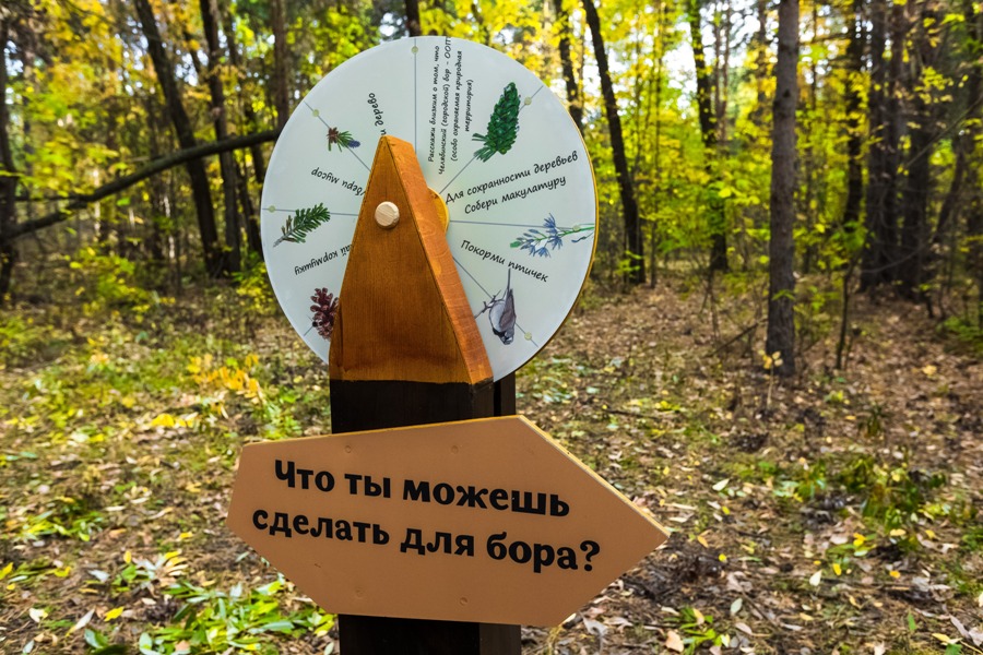 Спрос на ученых-экологов в Челябинской области вырос на 80%*1