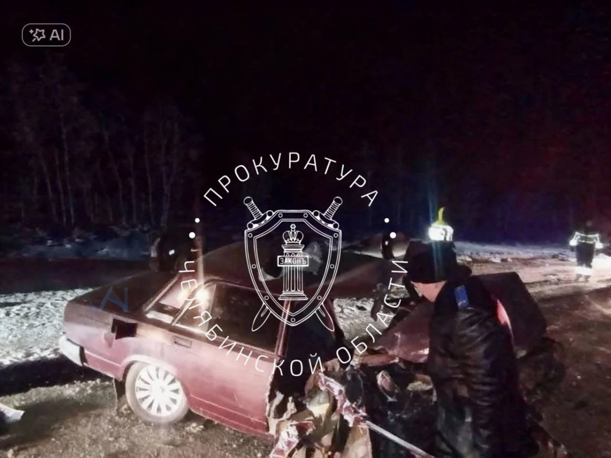 Жуткое ДТП с двумя погибшими в Челябинской области вылилось в уголовное дело*1