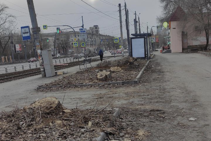 В Челябинске вырубили многолетние деревья на остановке «Театр ЧТЗ»