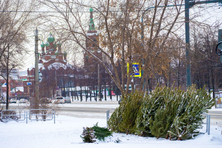 Адреса всех елочных базаров обнародовали в Челябинске*1