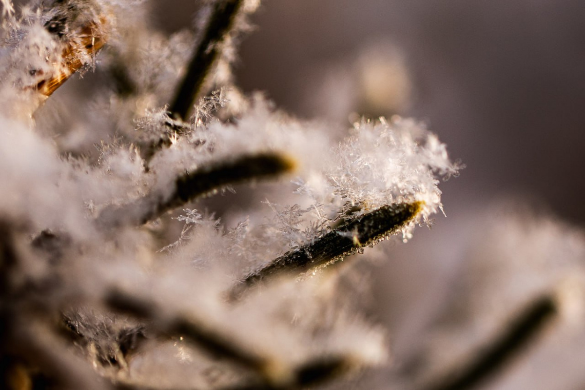 Февраль в Челябинской области удивил температурными качелями*