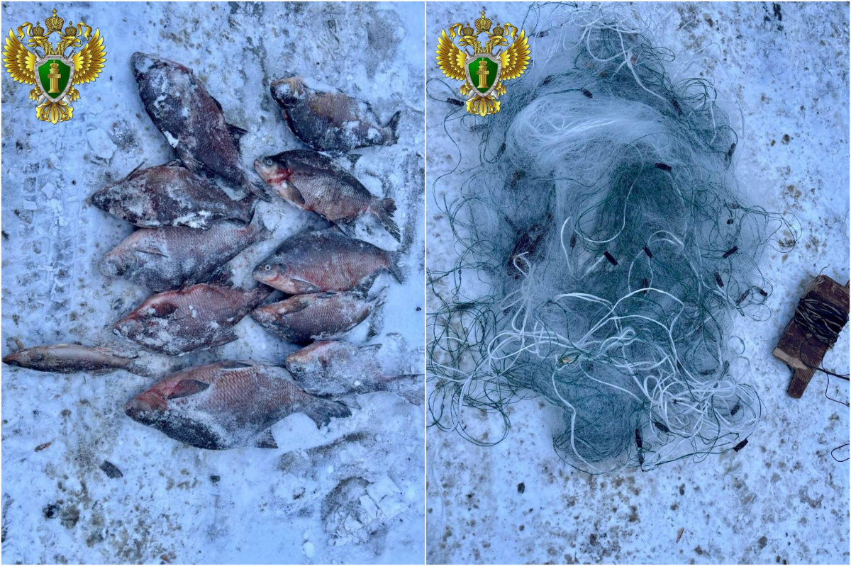 За браконьерскую сеть на Аргазинском водохранилище миассец ответит в суде*