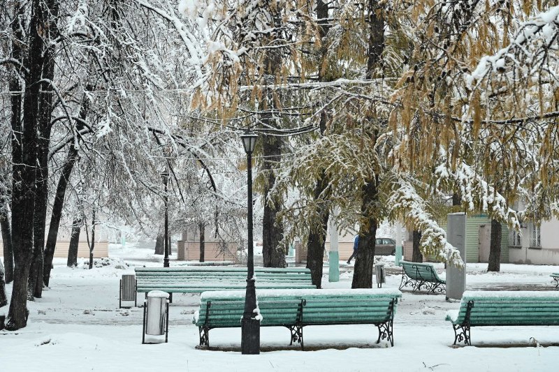 Снег и потепление до +4 градусов пообещали в Челябинской области*1