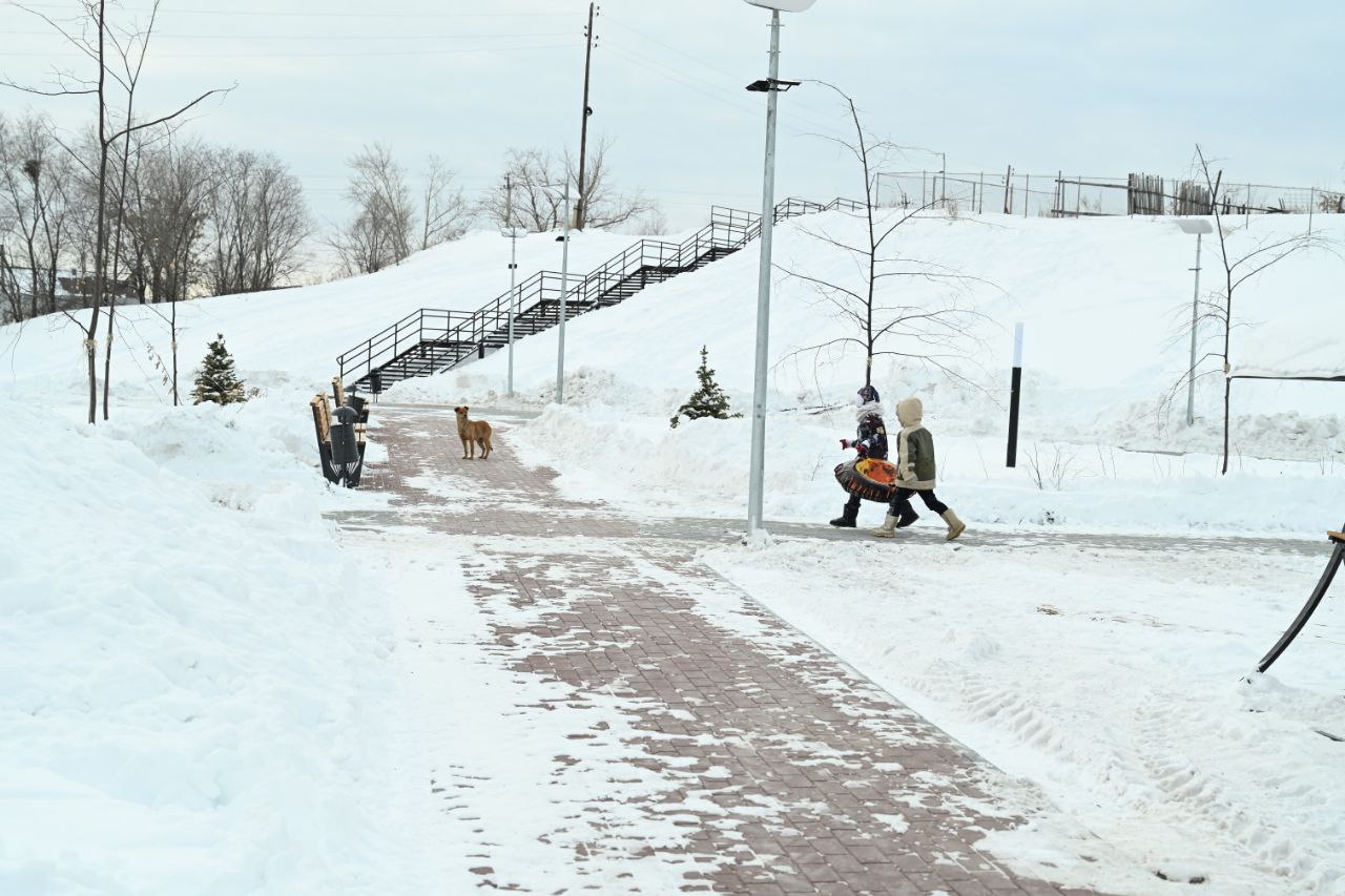 Ночные заморозки до -32 градусов ожидаются в Челябинской области