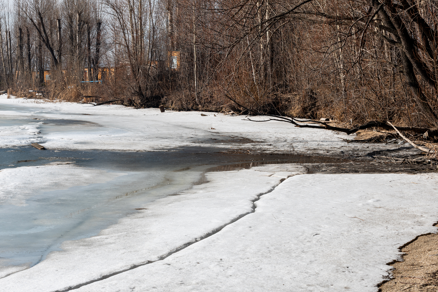 Ходят по тонкому льду: ради какой рыбы челябинцы рискуют жизнью