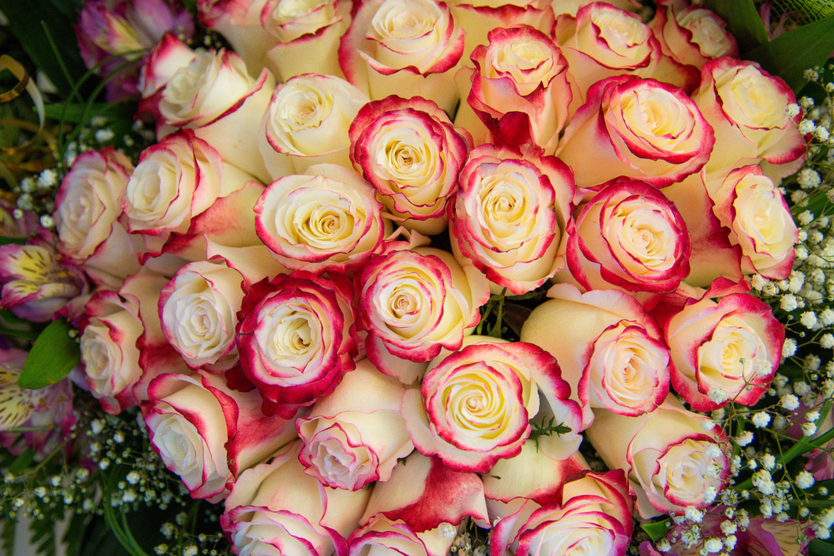 Мошенники тоже готовятся к 8 Марта: три главные «праздничные» схемы обмана*1