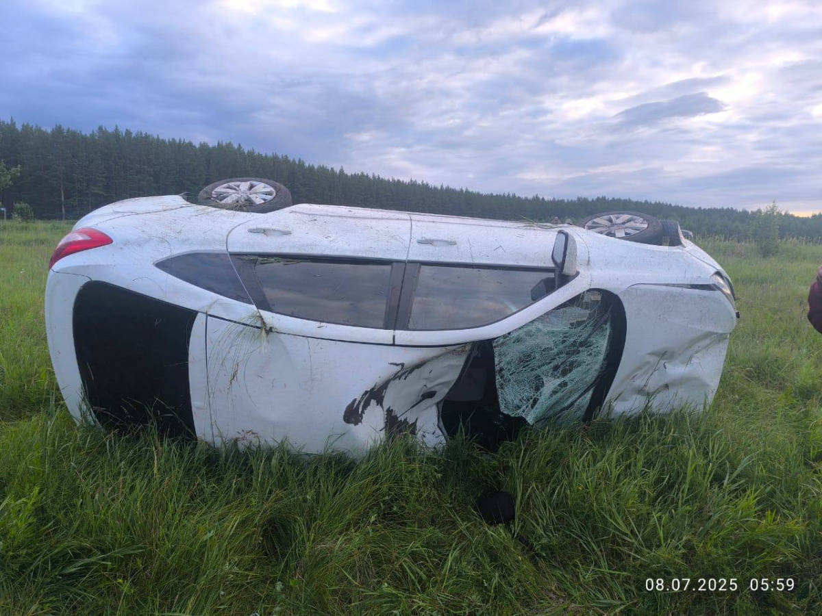 Водитель LADA погиб при столкновении с лосем в Челябинской области*