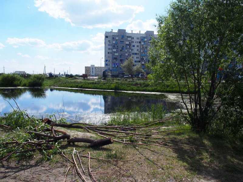 В Чурилово на пустыре возле школы появится сквер с прудом