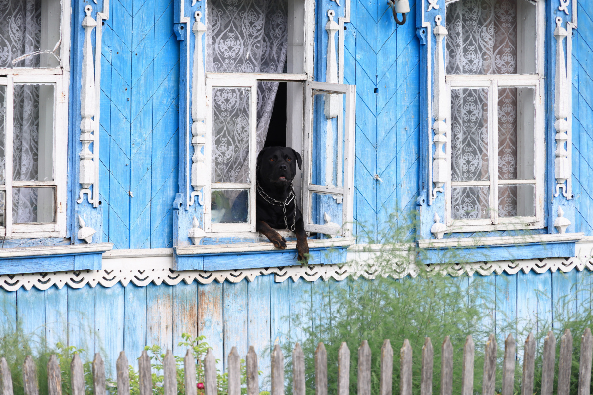 В Челябинске из-за несогласия жителей отменили проект КРТ *