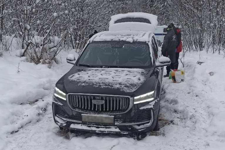 Семья из Челябинска провела новогоднюю ночь в лесу в застрявшем автомобиле*