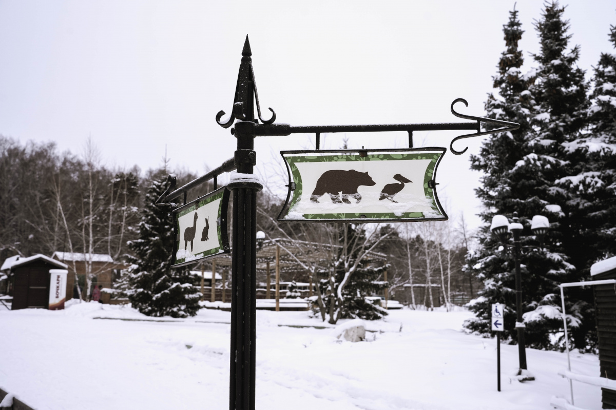 Любимые старички: в Челябинском зоопарке рассказали о главных долгожителях*1