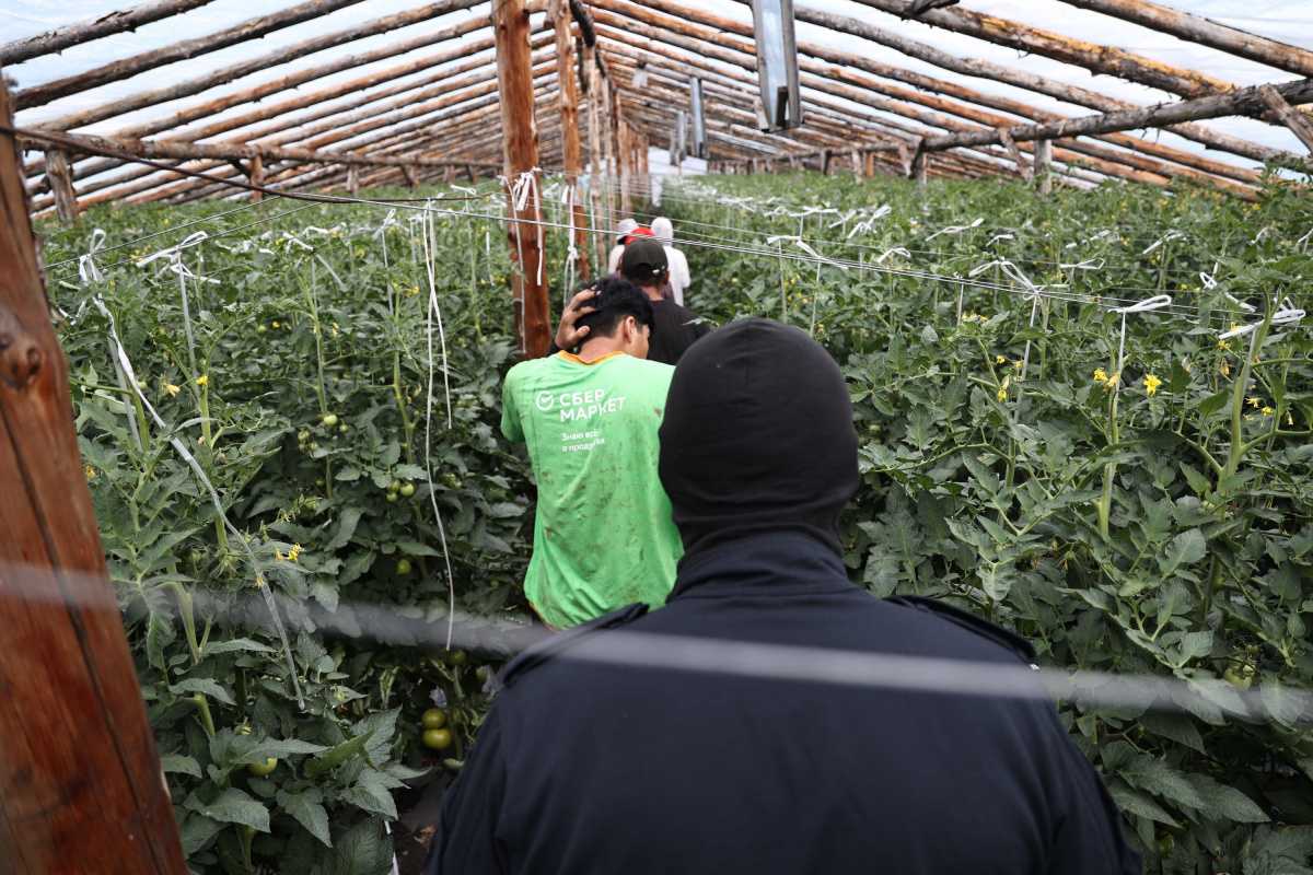 Спецназ приставов выпроводил 14 мигрантов из Челябинской области*