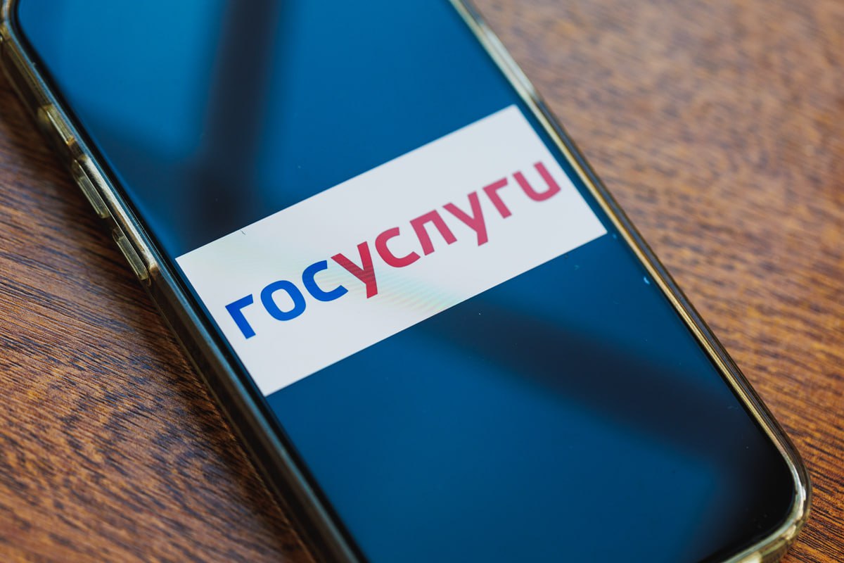 Новый сервис на Госуслугах защитит южноуральцев от мошенников*1