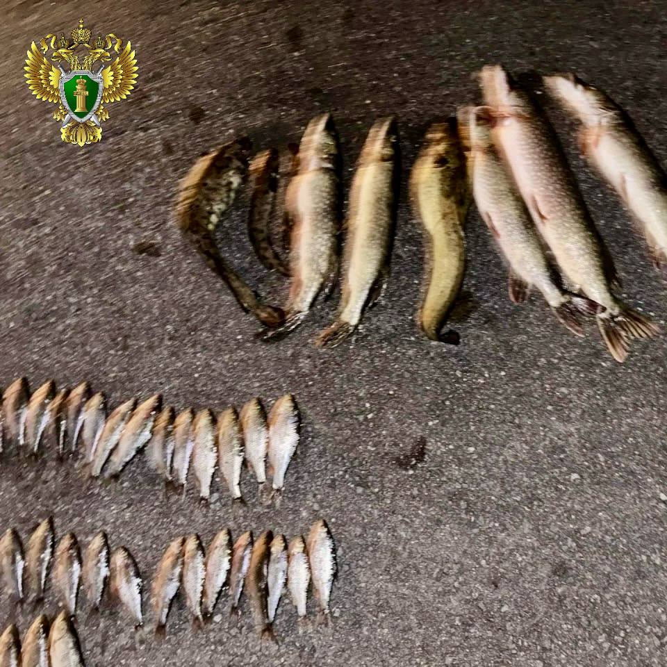 Улов не удался: саткинские браконьеры лишились лодки, мотора и «японца»*