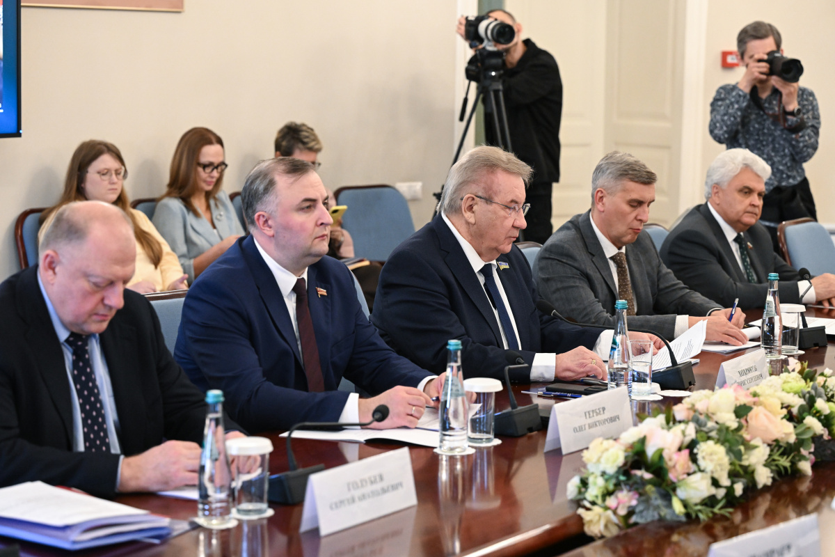 Председатель ЗСО Челябинской области Гербер призвал жёстко регулировать видеоигры*