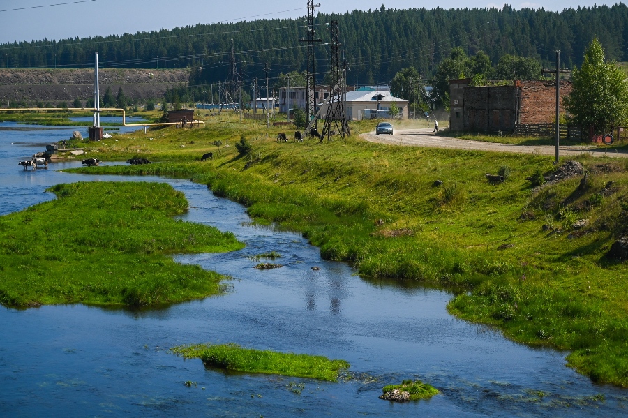В Челябинске предлагают очищать воздух с помощью водорослей*1