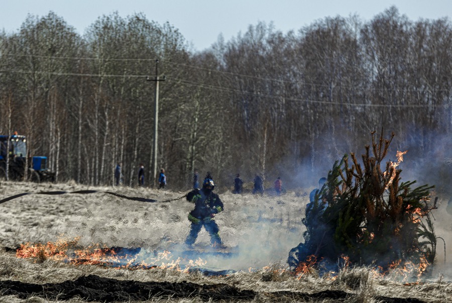 Лесные пожары в Миассе стали основанием для уголовных дел*1
