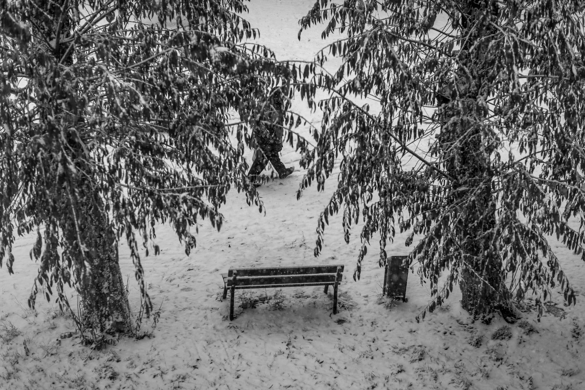 Рабочая неделя в Челябинской области начнется со снегопадов