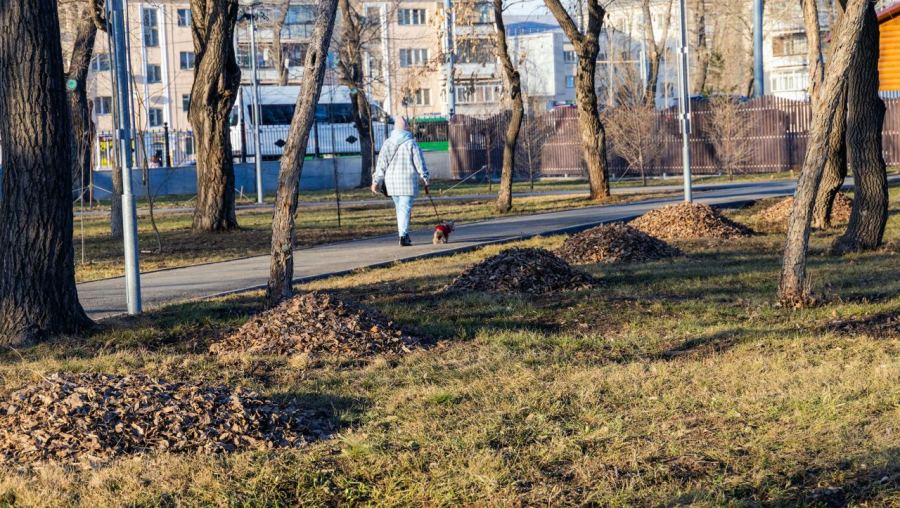 До -7 градусов похолодает в Челябинской области и пойдет снег*1