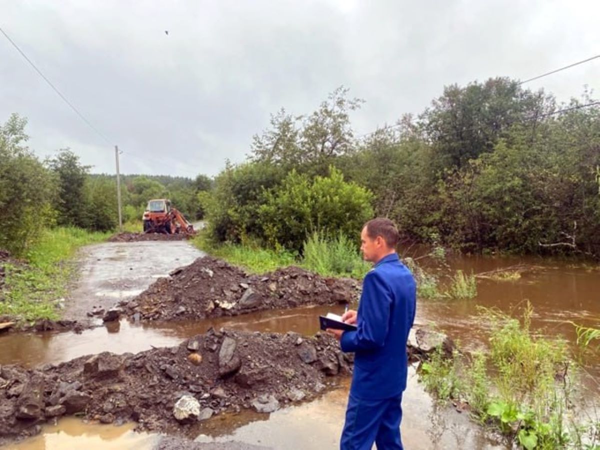 В Челябинской области из-за дождей подтопило поселок *