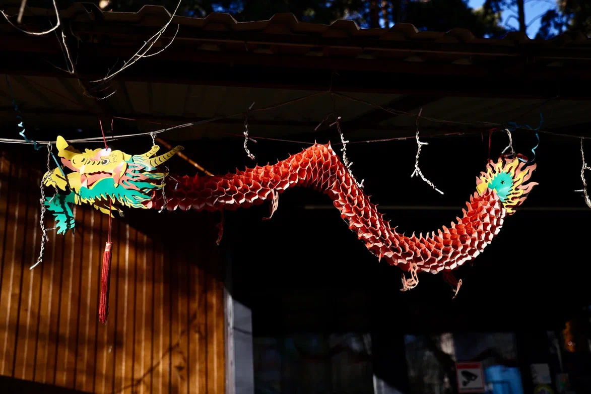 «Новая энергия «Ю»: Алексею Текслеру презентовали будущее парка в Южноуральске