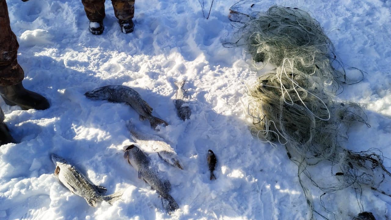 На озере Увильды поймали браконьеров с сетями