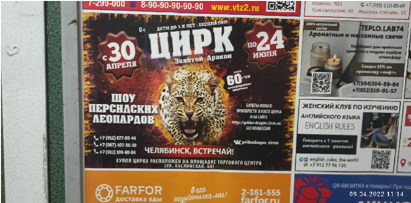 Челябинец заметил недостоверную рекламу о шоу с персидскими леопардами
