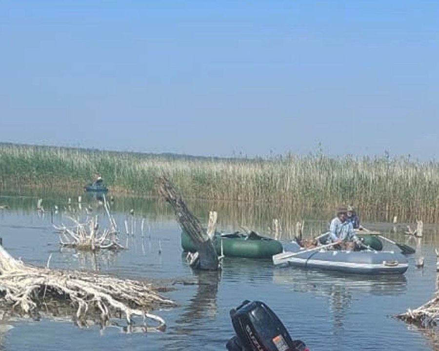 На водоеме в Челябинской области нашли тело погибшего рыбака