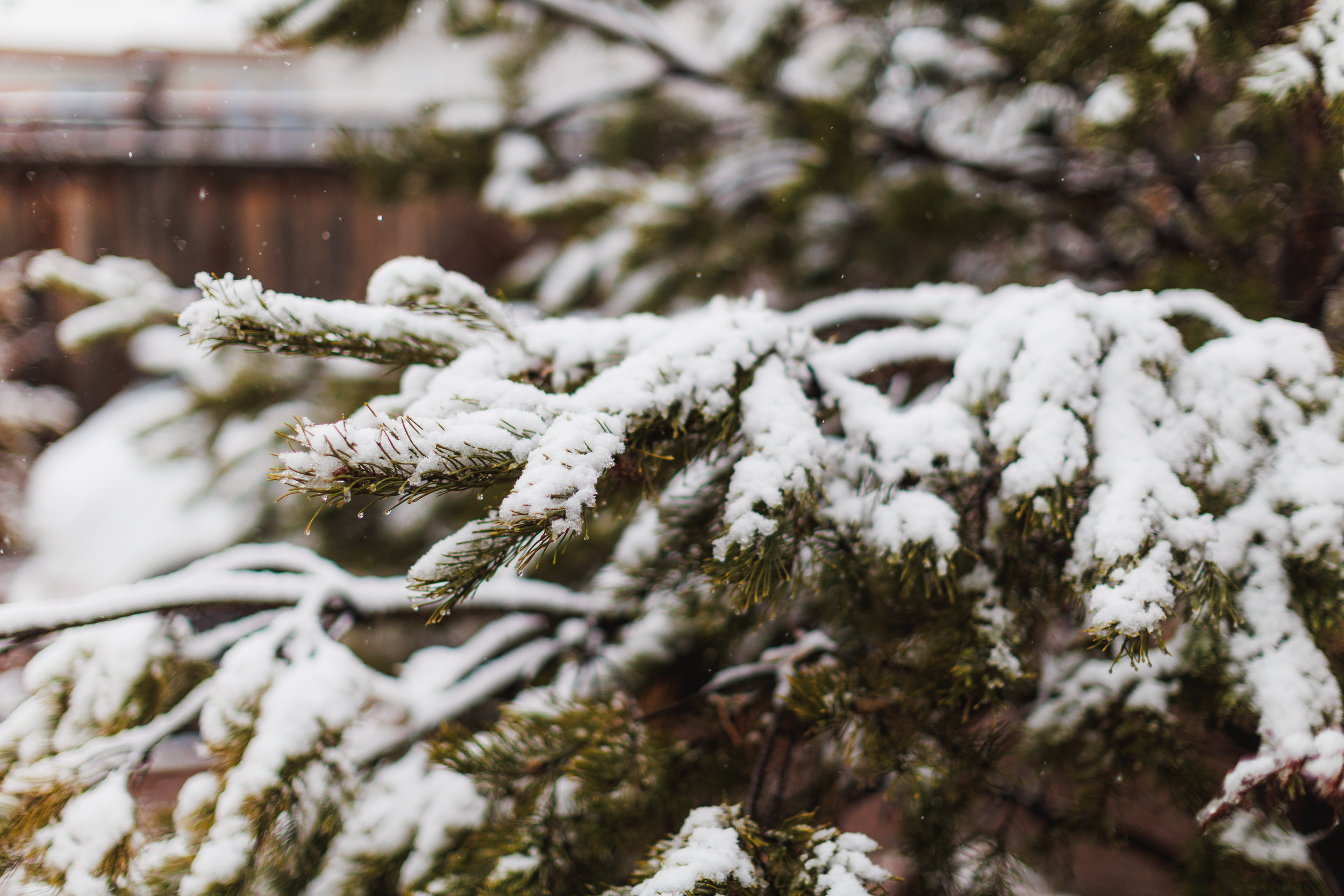 Утром 2 ноября Челябинск накрыло первым снегопадом